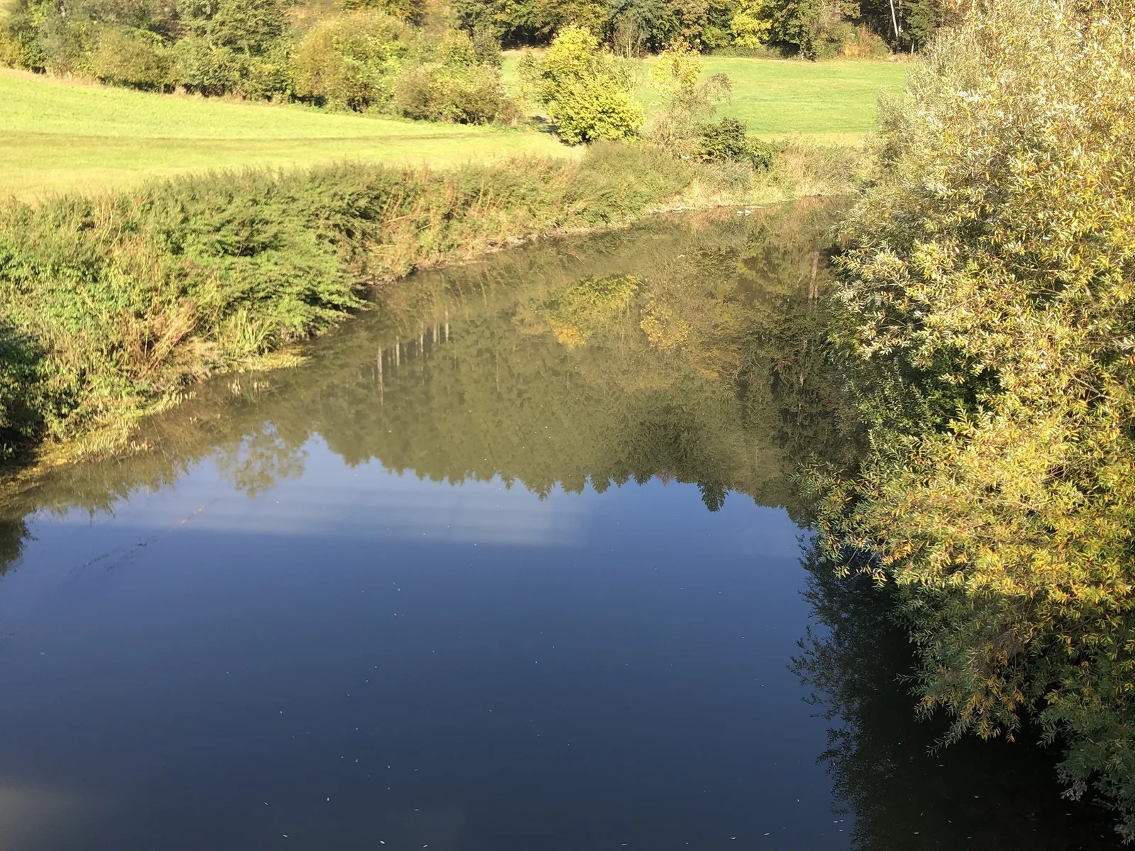 Aschach mit Wiese und Baumreihe am Ufer